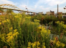 <a href="https://landscapearchitecturebuilt.com/staging/erie-street-plaza">Erie Street Plaza</a>, <br>Milwaukee, WI, USA