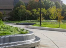 <a href="https://landscapearchitecturebuilt.com/staging/gerstacker-grove">Eda U. Gerstacker Grove</a>, <br>University of Michigan, Ann Arbor, MI, USA
