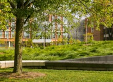 <a href="https://landscapearchitecturebuilt.com/staging/gerstacker-grove">Eda U. Gerstacker Grove</a>, <br>University of Michigan, Ann Arbor, MI, USA