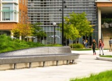 <a href="https://landscapearchitecturebuilt.com/staging/gerstacker-grove">Eda U. Gerstacker Grove</a>, <br>University of Michigan, Ann Arbor, MI, USA