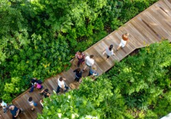 <a href="https://landscapearchitecturebuilt.com/staging/industry-city-courtyard-5-6">Industry City Courtyard 5-6</a>, <br>Sunset Park, Brooklyn, NY, USA
