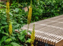 <a href="https://landscapearchitecturebuilt.com/staging/industry-city-courtyard-5-6">Industry City Courtyard 5-6</a>, <br>Sunset Park, Brooklyn, NY, USA