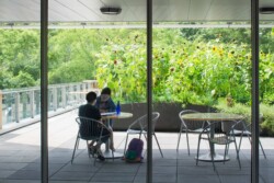 <a href="https://landscapearchitecturebuilt.com/staging/simons-center-for-geometry-and-physics">Simons Center for Geometry and Physics</a>, <br>University of New York, Stony Brook, NY, USA