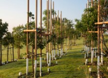<a href="https://landscapearchitecturebuilt.com/staging/maropeng-stone-garden">Maropeng Stone Garden</a>, <br>Cradle of Humankind, Gauteng, South Africa