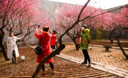 <a href="https://landscapearchitecturebuilt.com/staging/the-mei-garden">The Mei Garden</a>, <br>Jinhua, Zhejiang Province, China