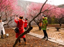 <a href="https://landscapearchitecturebuilt.com/staging/the-mei-garden">The Mei Garden</a>, <br>Jinhua, Zhejiang Province, China