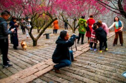 <a href="https://landscapearchitecturebuilt.com/staging/the-mei-garden">The Mei Garden</a>, <br>Jinhua, Zhejiang Province, China