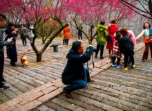 <a href="https://landscapearchitecturebuilt.com/staging/the-mei-garden">The Mei Garden</a>, <br>Jinhua, Zhejiang Province, China