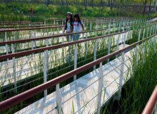 <a href="https://landscapearchitecturebuilt.com/staging/the-mei-garden">The Mei Garden</a>, <br>Jinhua, Zhejiang Province, China