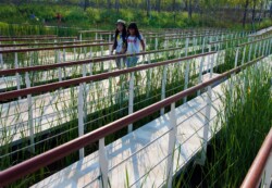 <a href="https://landscapearchitecturebuilt.com/staging/the-mei-garden">The Mei Garden</a>, <br>Jinhua, Zhejiang Province, China