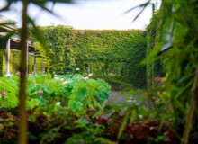 <a href="https://landscapearchitecturebuilt.com/staging/the-mei-garden">The Mei Garden</a>, <br>Jinhua, Zhejiang Province, China