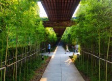 <a href="https://landscapearchitecturebuilt.com/staging/the-mei-garden">The Mei Garden</a>, <br>Jinhua, Zhejiang Province, China