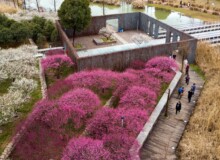 <a href="https://landscapearchitecturebuilt.com/staging/the-mei-garden">The Mei Garden</a>, <br>Jinhua, Zhejiang Province, China