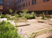 <a href="https://landscapearchitecturebuilt.com/staging/nelson-mandela-childrens-hospital">Nelson Mandela Children’s Hospital</a>, <br>Johannesburg, South Africa