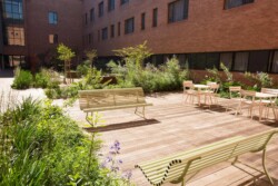 <a href="https://landscapearchitecturebuilt.com/staging/nelson-mandela-childrens-hospital">Nelson Mandela Children’s Hospital</a>, <br>Johannesburg, South Africa