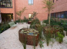 <a href="https://landscapearchitecturebuilt.com/staging/nelson-mandela-childrens-hospital">Nelson Mandela Children’s Hospital</a>, <br>Johannesburg, South Africa