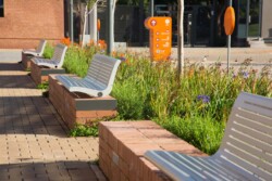 <a href="https://landscapearchitecturebuilt.com/staging/nelson-mandela-childrens-hospital">Nelson Mandela Children’s Hospital</a>, <br>Johannesburg, South Africa