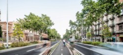 <a href="https://landscapearchitecturebuilt.com/staging/passeig-de-sant-joan-boulevard">Passeig de Sant Joan Boulevard - Phase 2</a>, <br>Barcelona, Spain