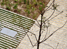 <a href="https://landscapearchitecturebuilt.com/staging/passeig-de-sant-joan-boulevard">Passeig de Sant Joan Boulevard - Phase 1</a>, <br>Barcelona, Spain