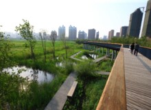 <a href="https://landscapearchitecturebuilt.com/staging/qunli-stormwater-park">Qunli Stormwater Park</a>, <br>Harbin, Heilongjiang Province, China