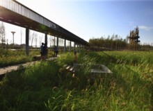 <a href="https://landscapearchitecturebuilt.com/staging/qunli-stormwater-park">Qunli Stormwater Park</a>, <br>Harbin, Heilongjiang Province, China