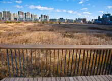 <a href="https://landscapearchitecturebuilt.com/staging/qunli-stormwater-park">Qunli Stormwater Park</a>, <br>Harbin, Heilongjiang Province, China