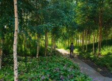 <a href="https://landscapearchitecturebuilt.com/staging/qunli-stormwater-park">Qunli Stormwater Park</a>, <br>Harbin, Heilongjiang Province, China