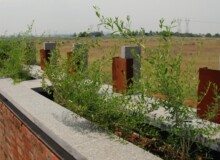 <a href="https://landscapearchitecturebuilt.com/staging/sharpeville-memorial-garden">Sharpeville Memorial Garden</a>, <br>Sharpeville, Gauteng, South Africa