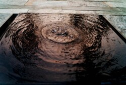 <a href="https://landscapearchitecturebuilt.com/staging/yongtai-club">Yongtai Club</a>, <br>Shanghai, China