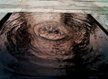 <a href="https://landscapearchitecturebuilt.com/staging/yongtai-club">Yongtai Club</a>, <br>Shanghai, China