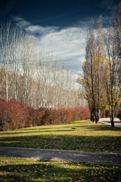 <a href="https://landscapearchitecturebuilt.com/staging/central-park">Central Park</a>, <br>Barcelona, Spain
