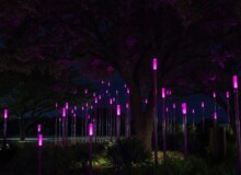 <a href="https://landscapearchitecturebuilt.com/staging/fontaine-plaza">Fontaine Plaza</a>, <br>Austin Community College Highland Campus, Austin, TX, USA