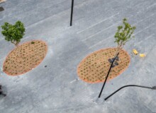 <a href="https://landscapearchitecturebuilt.com/staging/baluard-del-migdia-public-space">Baluard del Migdia Public Space</a>, <br>Barcelona, Spain