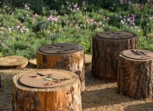 <a href="https://landscapearchitecturebuilt.com/staging/central-green-forest-park">Central Green Forest Park </a>, <br>Beijing, China