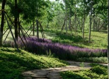 <a href="https://landscapearchitecturebuilt.com/staging/central-green-forest-park">Central Green Forest Park </a>, <br>Beijing, China