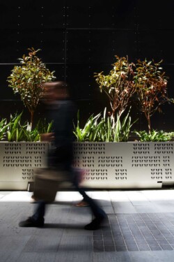 <a href="https://landscapearchitecturebuilt.com/staging/brookfield-place">Brookfield Place</a>, <br>Whadjuk Country, Perth, Australia