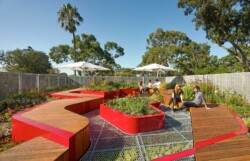 <a href="https://landscapearchitecturebuilt.com/staging/burnley-living-roofs">Burnley Living Roofs</a>, <br>Melbourne, Australia