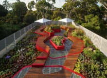 <a href="https://landscapearchitecturebuilt.com/staging/burnley-living-roofs">Burnley Living Roofs</a>, <br>Melbourne, Australia
