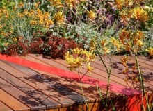 <a href="https://landscapearchitecturebuilt.com/staging/burnley-living-roofs">Burnley Living Roofs</a>, <br>Melbourne, Australia