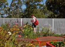 <a href="https://landscapearchitecturebuilt.com/staging/burnley-living-roofs">Burnley Living Roofs</a>, <br>Melbourne, Australia