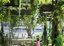 <a href="https://landscapearchitecturebuilt.com/staging/riverside-green">Riverside Green</a>, <br>Brisbane, Australia