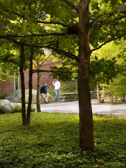 <a href="https://landscapearchitecturebuilt.com/staging/keene-state-college">Keene State College: Natural Science Center Courtyard</a>, <br>Keene, NH, USA An image of a landscape architecture project at Keene State College, showing a tree grove with people resting on boulders in the background