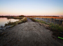 <a href="https://landscapearchitecturebuilt.com/staging/west-pond-living-shoreline">West Pond Living Shoreline</a>, <br>Queens, NY, USA An image of landscape architecture project West Pond Living Shoreline, by design firm Dirtworks Landscape Architecture P.C, in Queens, NY, USA. Showing a dirt pathway