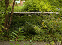 <a href="https://landscapearchitecturebuilt.com/staging/keene-state-college">Keene State College: Natural Science Center Courtyard</a>, <br>Keene, NH, USA An image of a landscape architecture project at Keene State College, showing a pathway with forest type planting either side and a freestanding stone wall