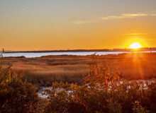 <a href="https://landscapearchitecturebuilt.com/staging/west-pond-living-shoreline">West Pond Living Shoreline</a>, <br>Queens, NY, USA An image of landscape architecture project West Pond Living Shoreline, by design firm Dirtworks Landscape Architecture P.C, in Queens, NY, USA. Showing a sunrise over the pond planting