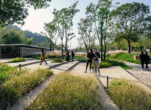 <a href="https://landscapearchitecturebuilt.com/staging/tangshan-ape-man-cave">Tangshan Ape Man Cave</a>, <br>Nanjing, China Landscape architecture project in China showing wide steps with mass planting of grasses either side.