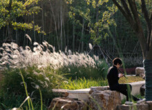 <a href="https://landscapearchitecturebuilt.com/staging/tangshan-ape-man-cave">Tangshan Ape Man Cave</a>, <br>Nanjing, China Landscape architecture project in China showing a person sitting an boulders amongst trees and grasses.
