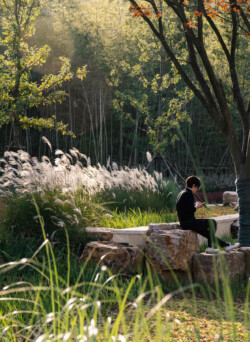 <a href="https://landscapearchitecturebuilt.com/staging/tangshan-ape-man-cave">Tangshan Ape Man Cave</a>, <br>Nanjing, China Landscape architecture project in China showing a person sitting an boulders amongst trees and grasses.