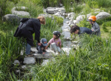 <a href="https://landscapearchitecturebuilt.com/staging/jordal-sports-park ">Jordal Sports Park</a>, <br>Oslo, Norway A photo of landscape architecture project Jordal Sports Park in Oslo, by design firm Henning Larsen