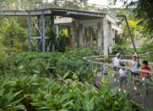 <a href="https://landscapearchitecturebuilt.com/staging/rifle-range-park">Rifle Range Park</a>, <br>Singapore An image of landscape architecture project Rifle Range Park, by design firm Henning Larsen, in Singapore.